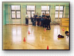 Integracyjne programy, parki linowe, przygoda